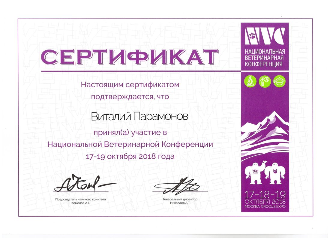 Документ или сертификат