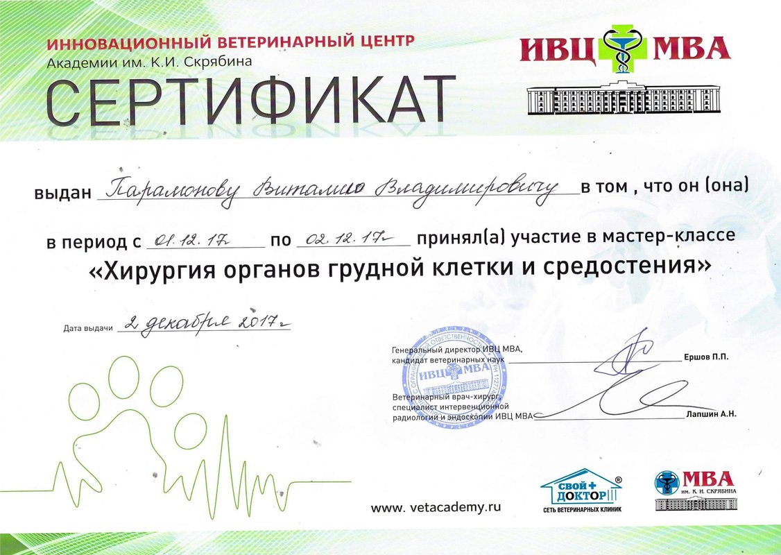 Документ или сертификат