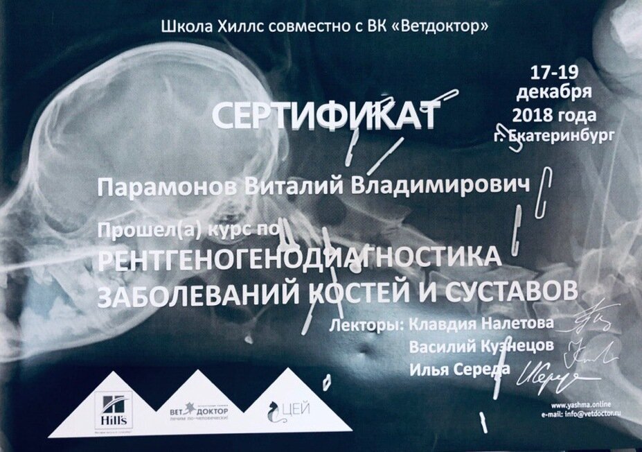 Документ или сертификат