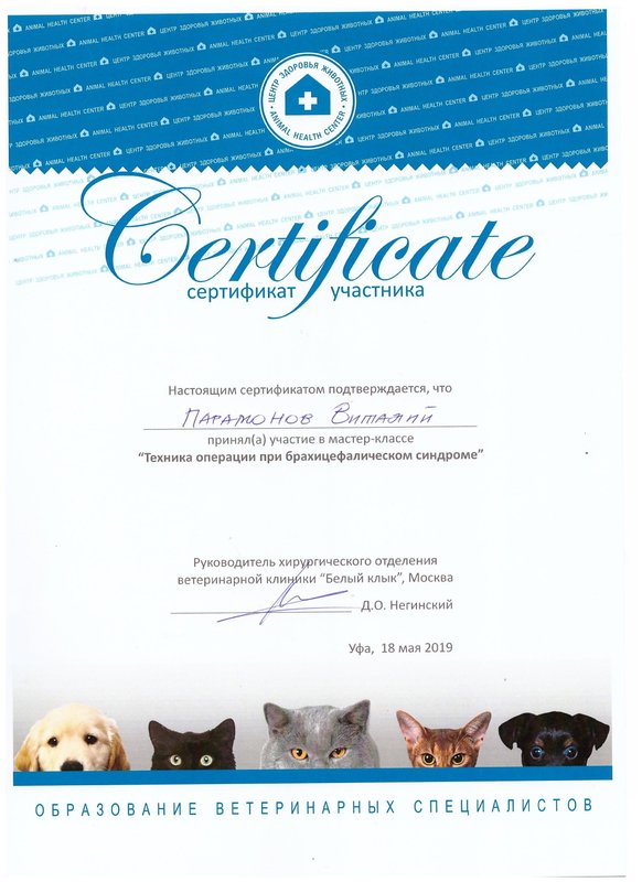 Документ или сертификат