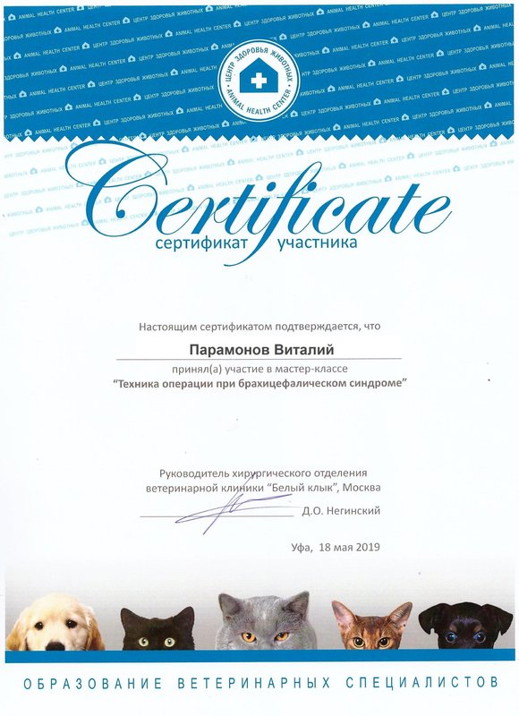 Документ или сертификат