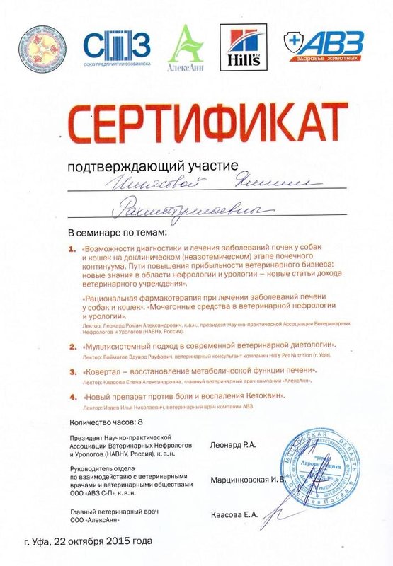 Документ или сертификат