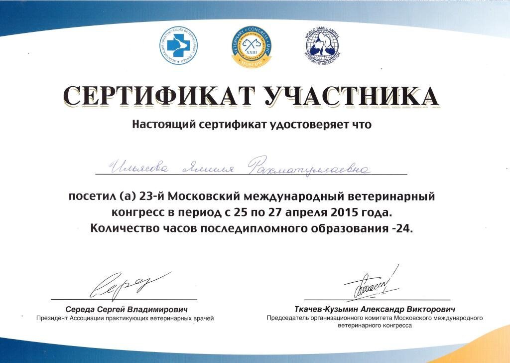 Документ или сертификат