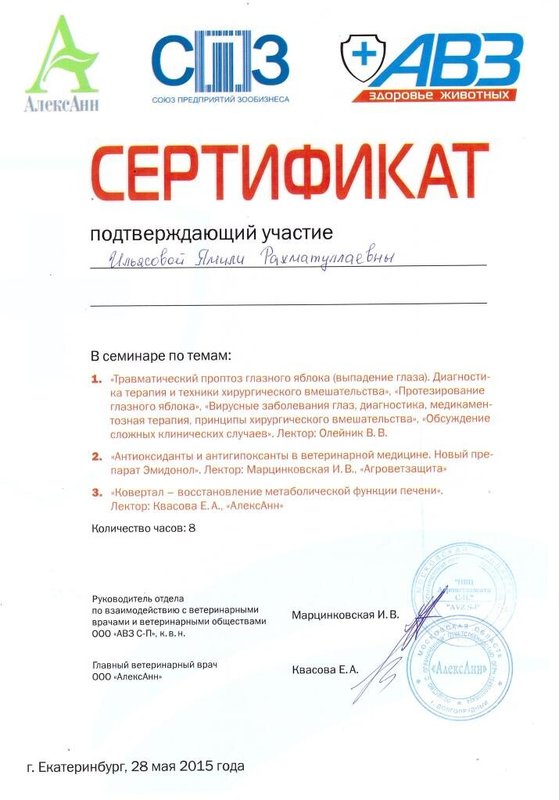 Документ или сертификат