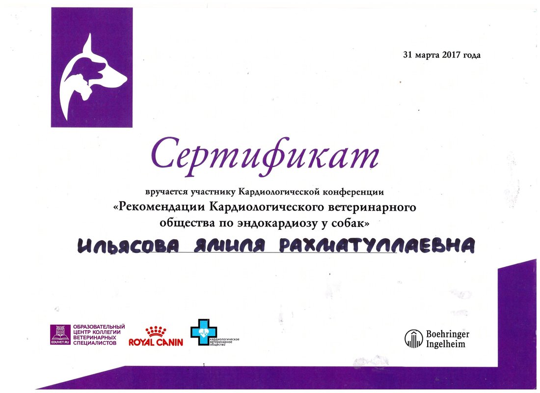 Документ или сертификат