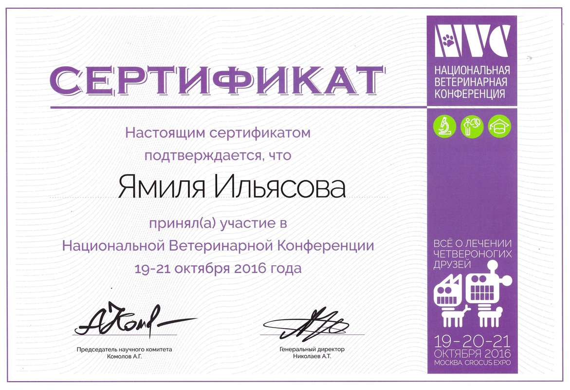 Документ или сертификат