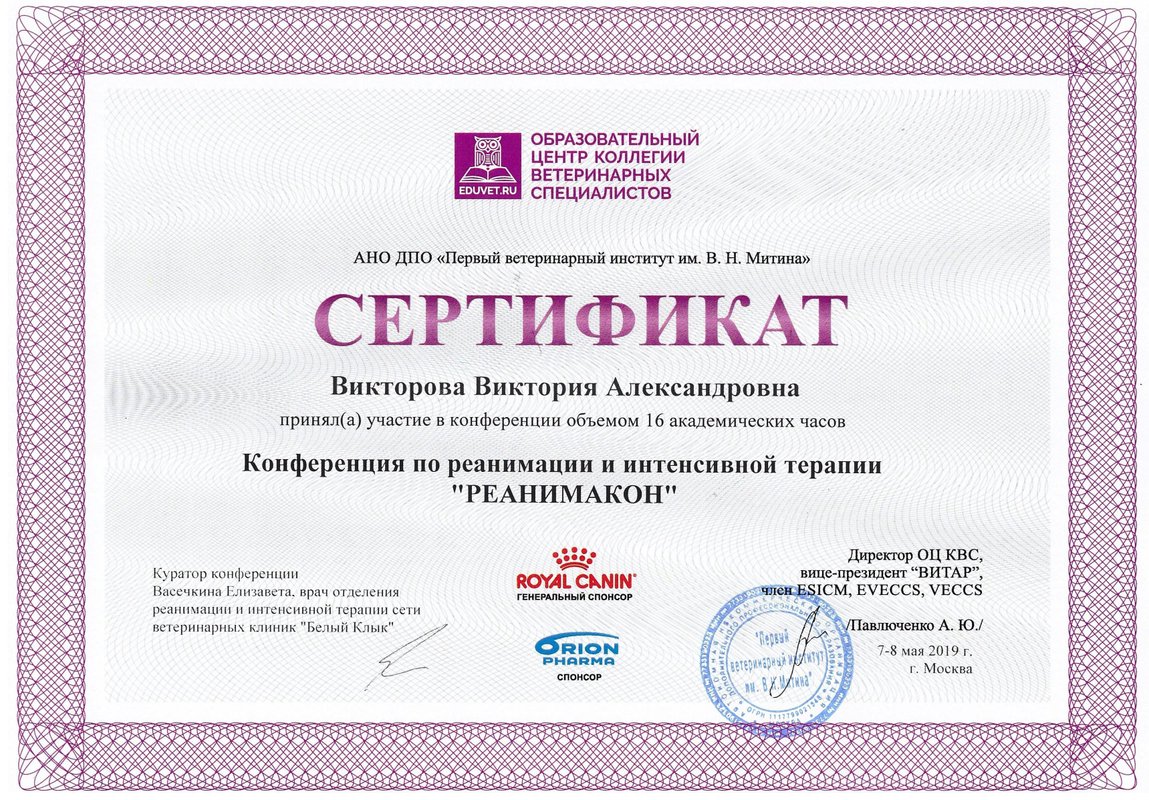Документ или сертификат