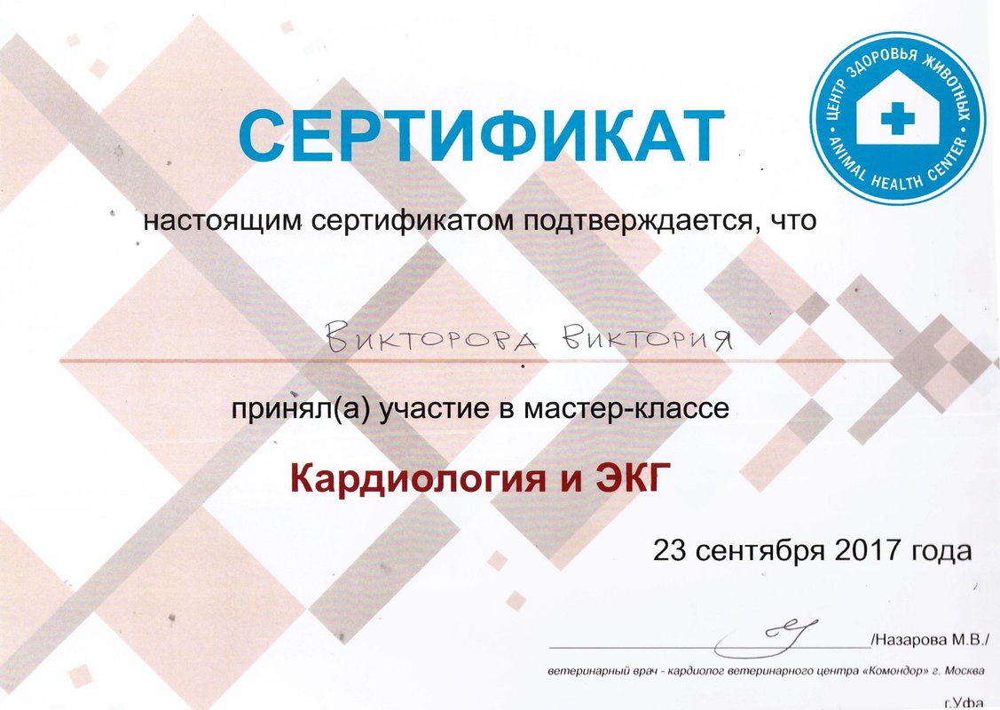 Документ или сертификат