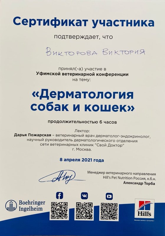 Документ или сертификат
