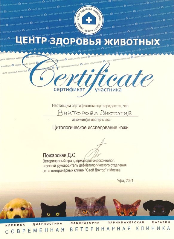 Документ или сертификат