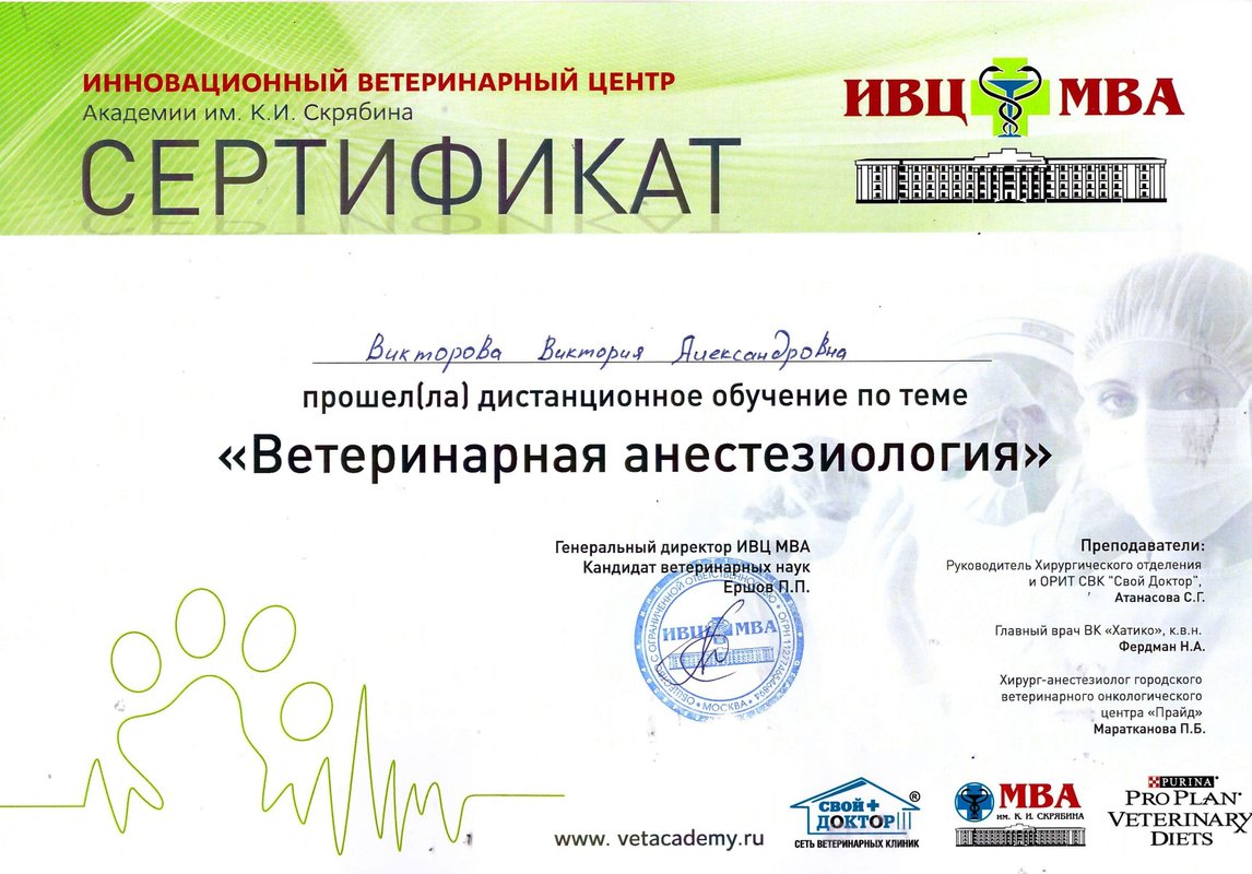 Документ или сертификат