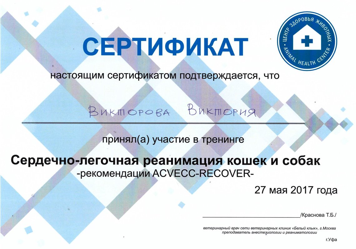 Документ или сертификат