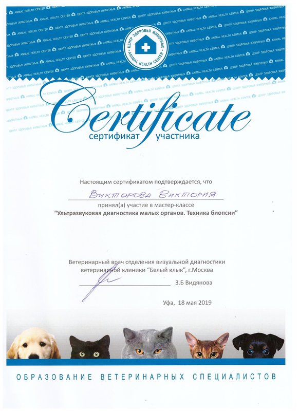 Документ или сертификат