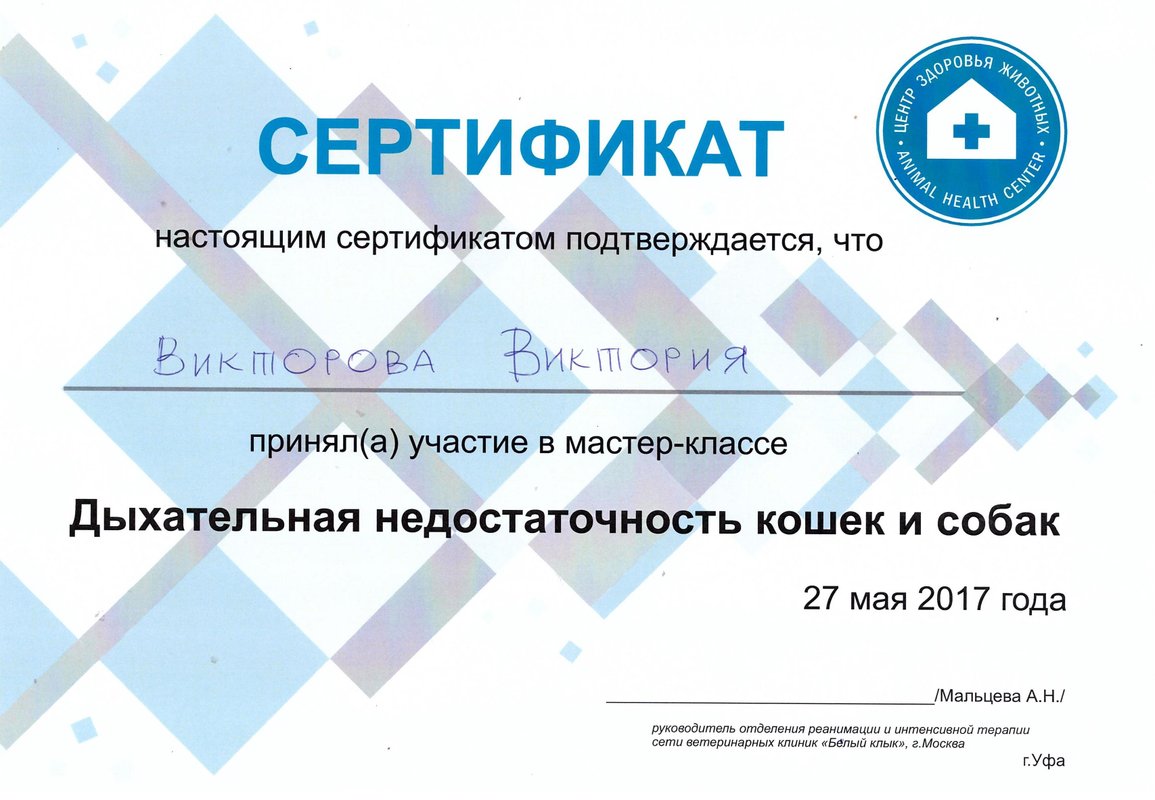 Документ или сертификат