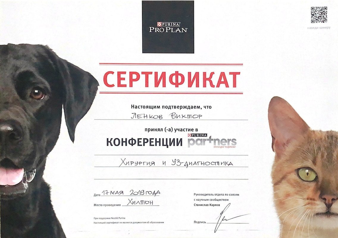 Документ или сертификат