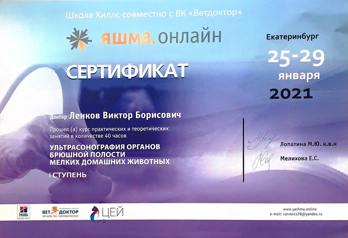 Документ или сертификат