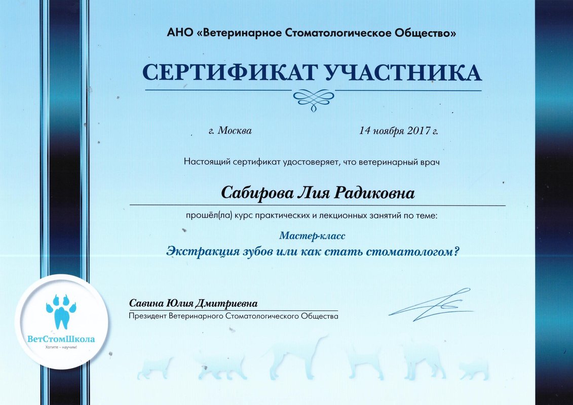 Документ или сертификат