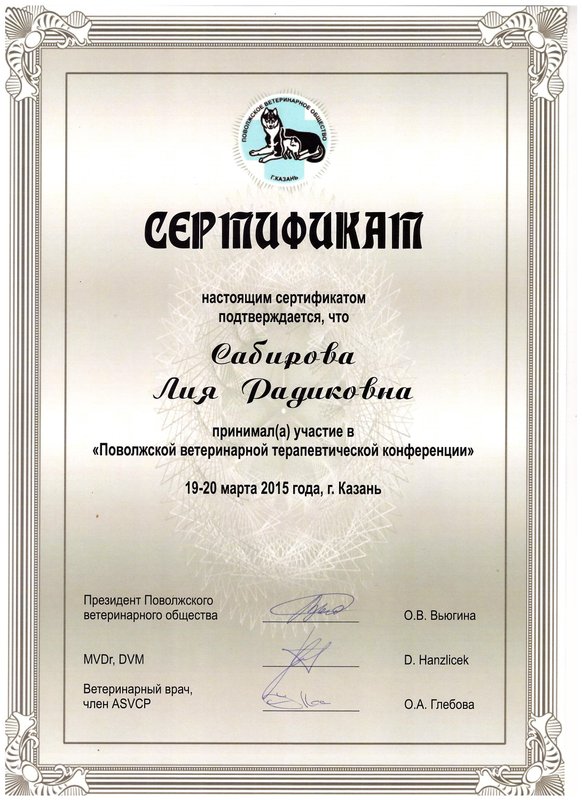 Документ или сертификат