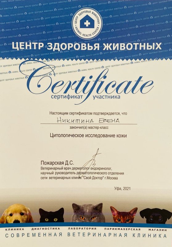 Документ или сертификат