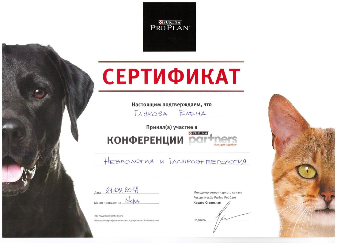 Документ или сертификат