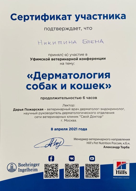 Документ или сертификат