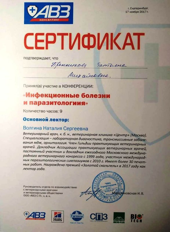 Документ или сертификат