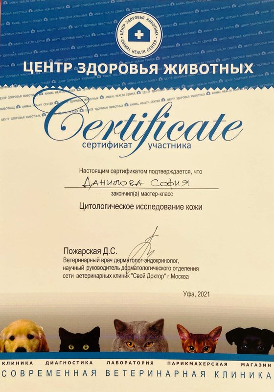 Документ или сертификат