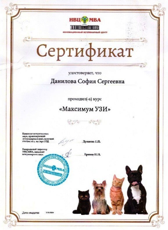 Документ или сертификат