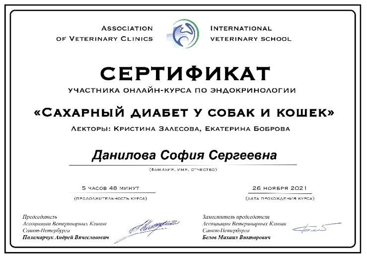 Документ или сертификат