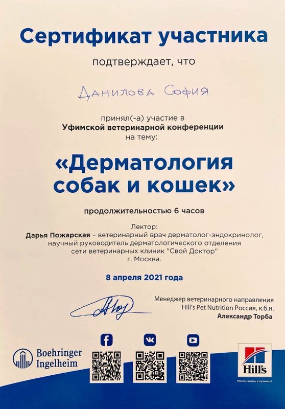 Документ или сертификат