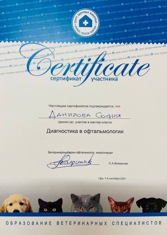 Документ или сертификат