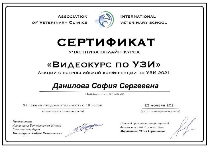 Документ или сертификат