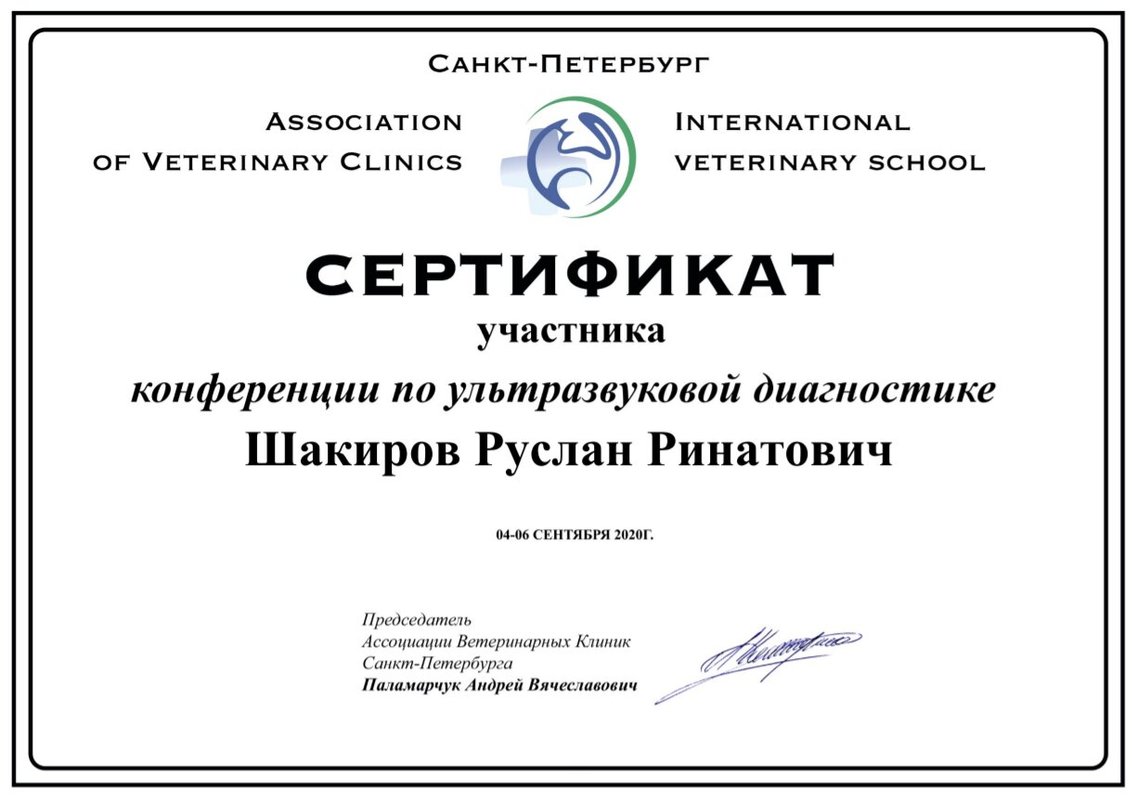 Документ или сертификат