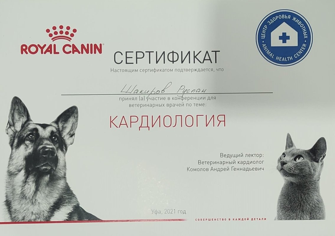 Документ или сертификат