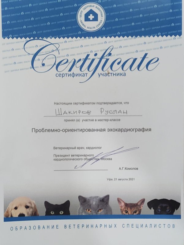 Документ или сертификат