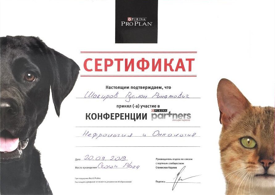 Документ или сертификат