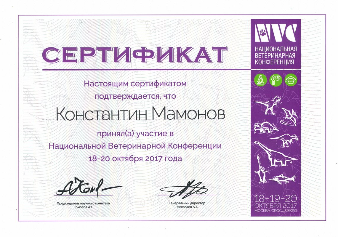 Документ или сертификат
