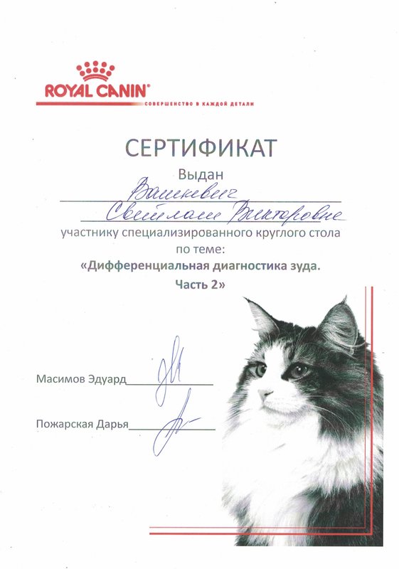 Документ или сертификат
