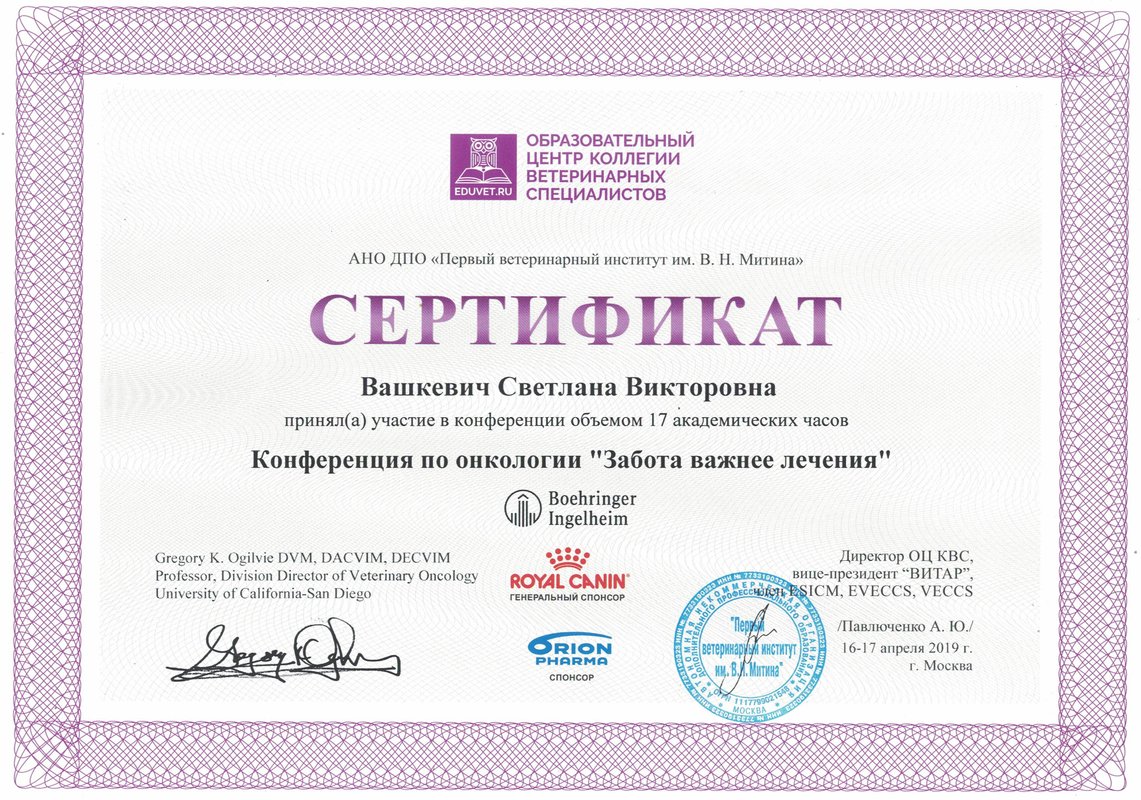 Документ или сертификат