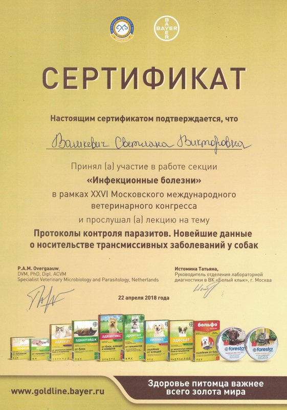 Документ или сертификат