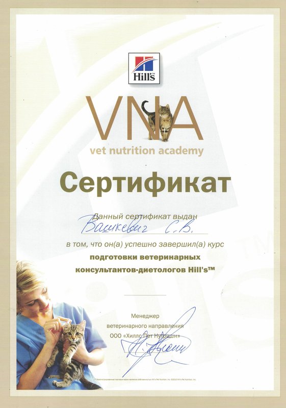 Документ или сертификат