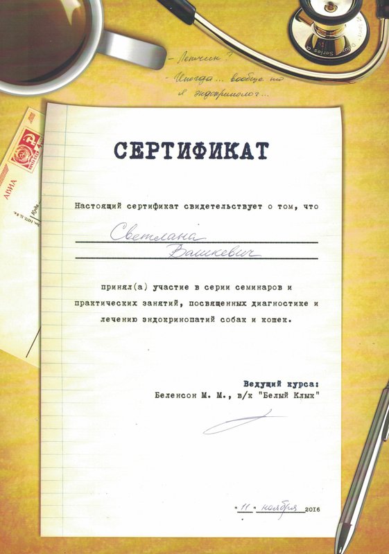 Документ или сертификат