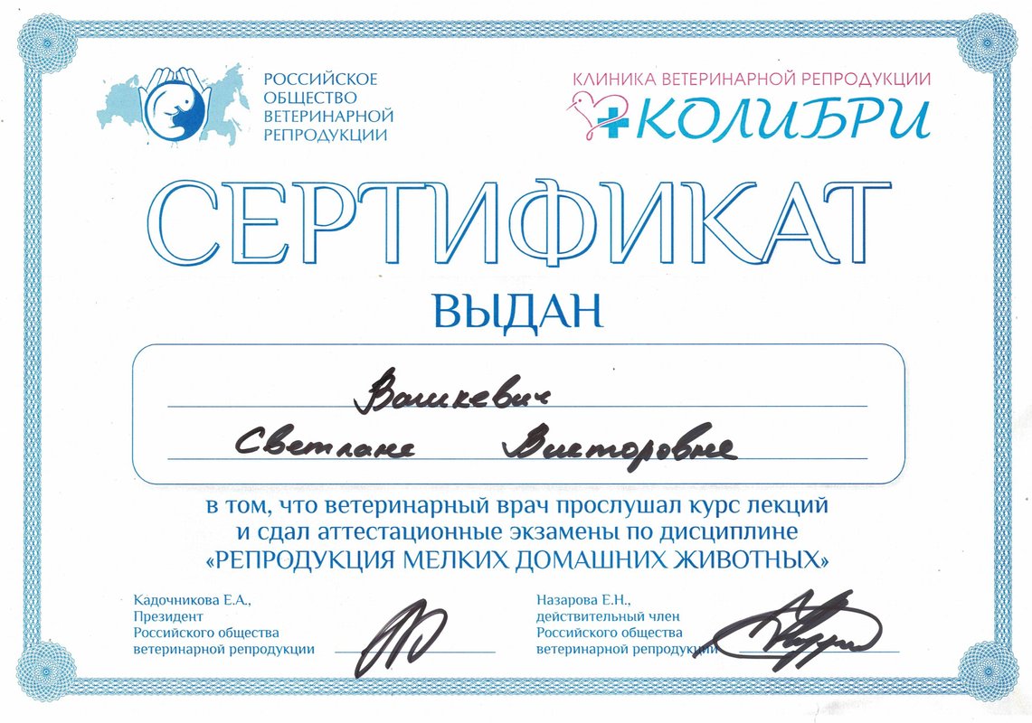 Документ или сертификат