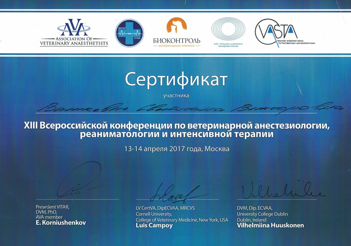 Документ или сертификат