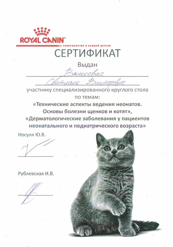 Документ или сертификат
