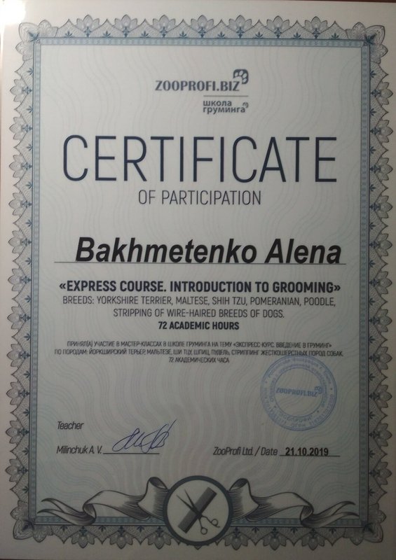 Документ или сертификат