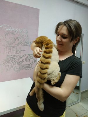 Фото врача Людмила Нотченко
