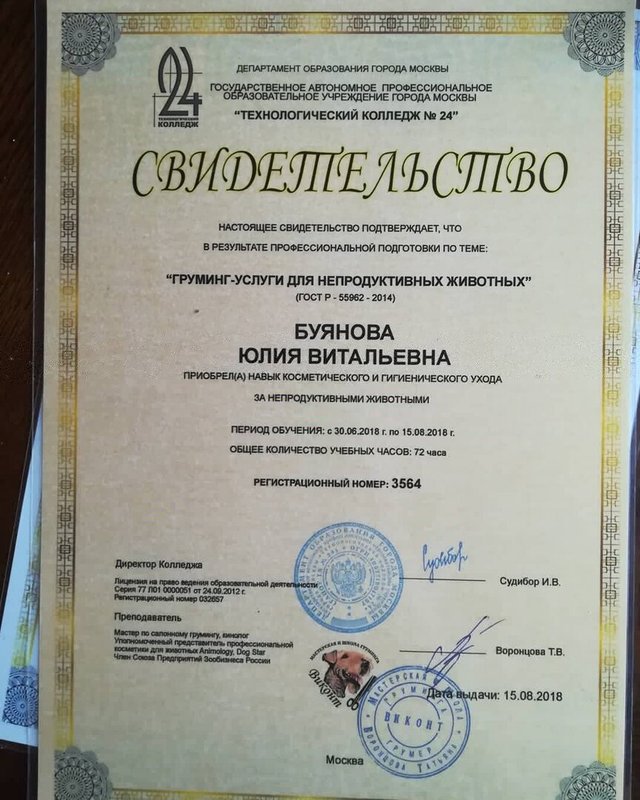 Документ или сертификат
