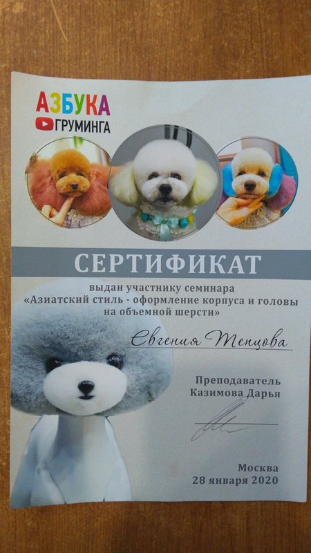 Документ или сертификат