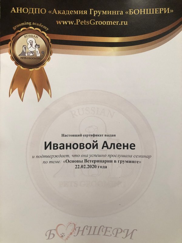 Документ или сертификат